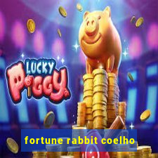 fortune rabbit coelho